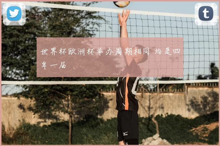 世界杯欧洲杯举办周期相同 均是四年一届