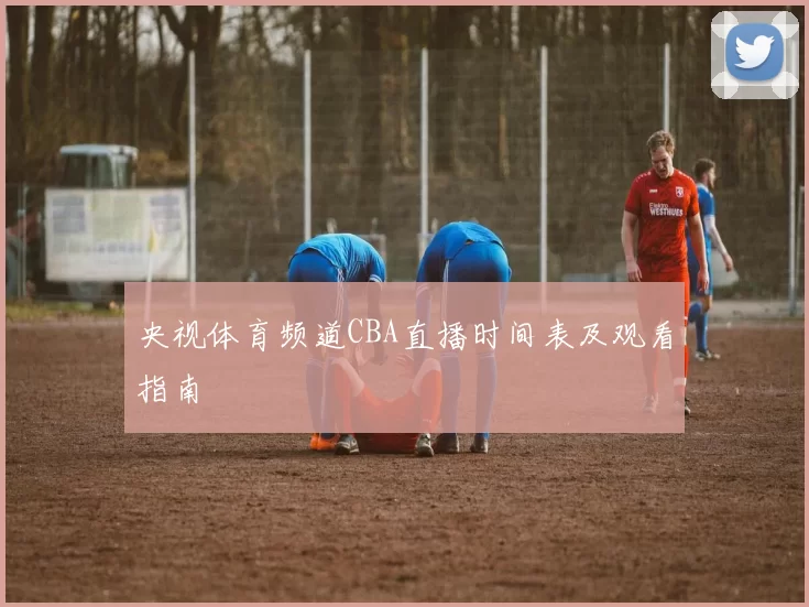 央视体育频道CBA直播时间表及观看指南