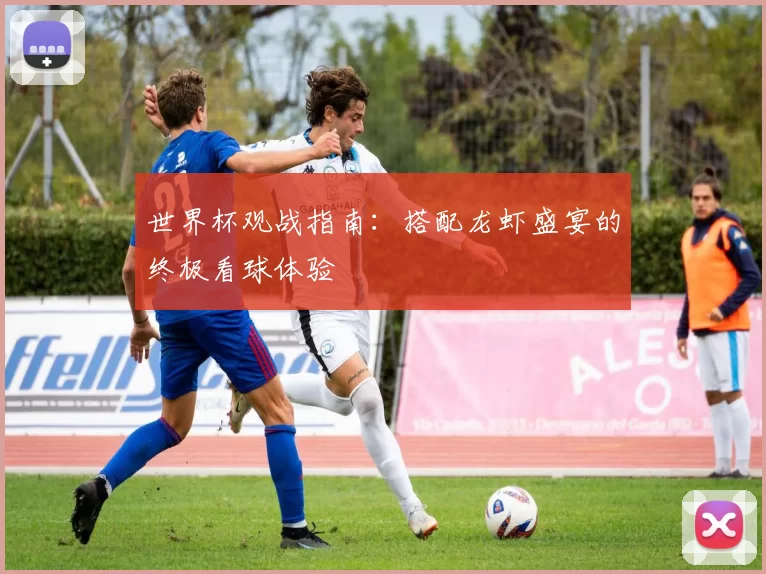 世界杯观战指南：搭配龙虾盛宴的终极看球体验