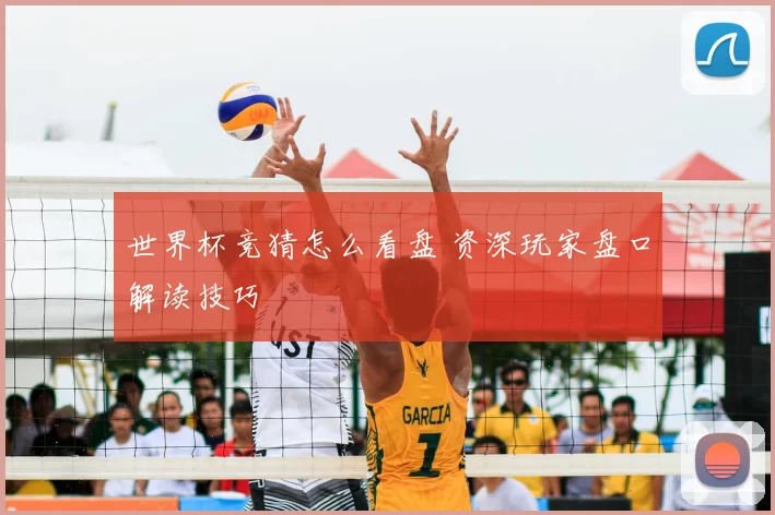 世界杯竞猜怎么看盘 资深玩家盘口解读技巧