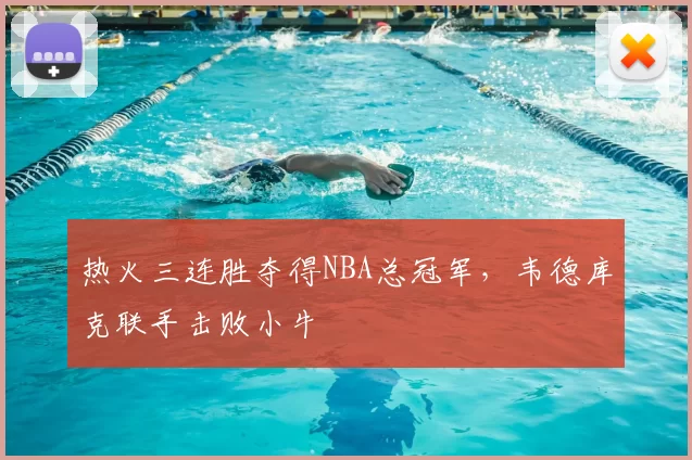 热火三连胜夺得NBA总冠军，韦德库克联手击败小牛