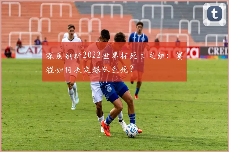 深度剖析2022世界杯死亡之组：赛程如何决定球队生死？