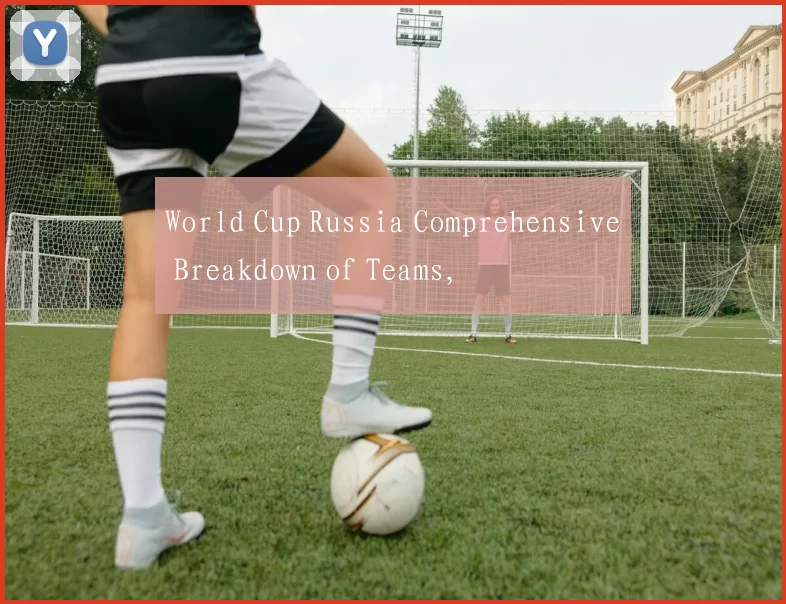 World Cup Russia Comprehensive Breakdown of Teams,