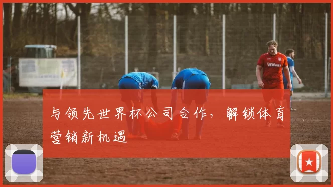 与领先世界杯公司合作,解锁体育营销新机遇