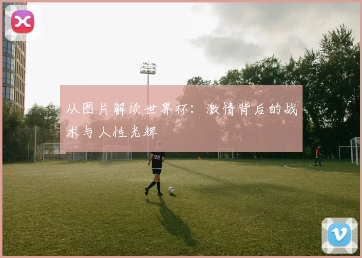 从图片解读世界杯：激情背后的战术与人性光辉