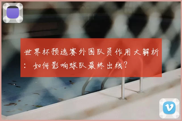 世界杯预选赛外围队员作用大解析：如何影响球队最终出线？