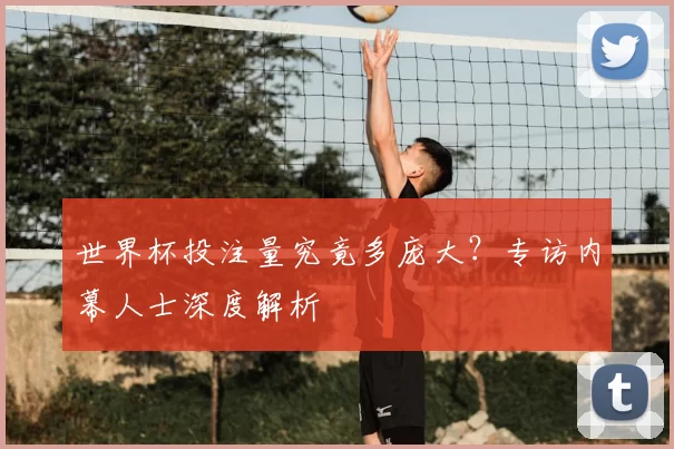 世界杯投注量究竟多庞大?专访内幕人士深度解析