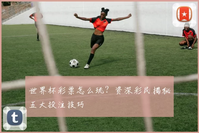 世界杯彩票怎么玩？资深彩民揭秘五大投注技巧