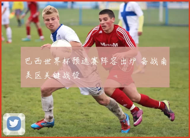 巴西世界杯预选赛阵容出炉 备战南美区关键战役