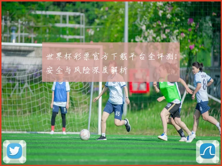 世界杯彩票官方下载平台全评测：安全与风险深度解析