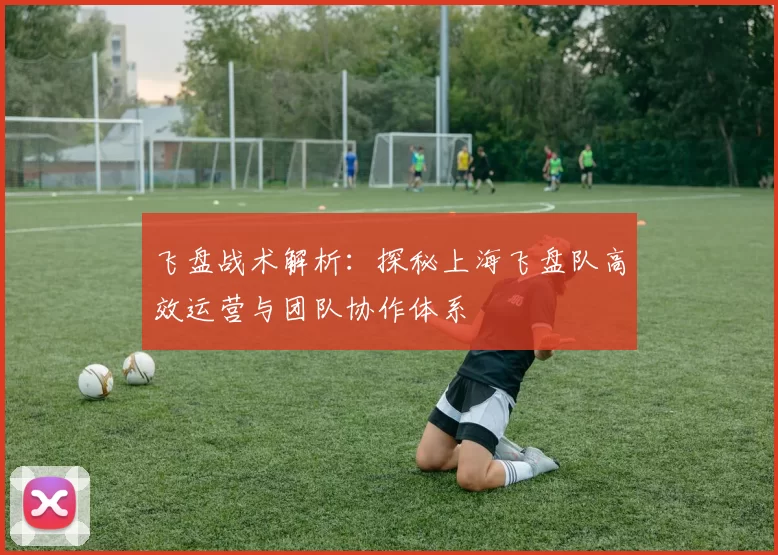 飞盘战术解析：探秘上海飞盘队高效运营与团队协作体系