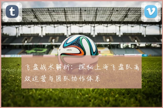飞盘战术解析：探秘上海飞盘队高效运营与团队协作体系