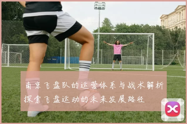 南京飞盘队的运营体系与战术解析探索飞盘运动的未来发展路径