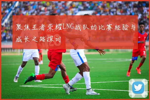 聚焦王者荣耀LNG战队的比赛经验与成长之路探讨