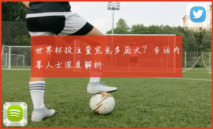 世界杯投注量究竟多庞大？专访内幕人士深度解析