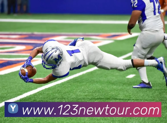 博亚体育平台生态图